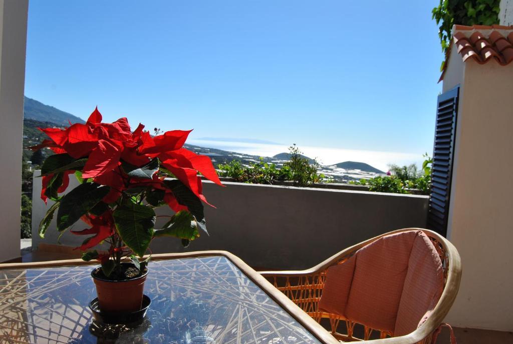 Appartement Casitas Rosheli