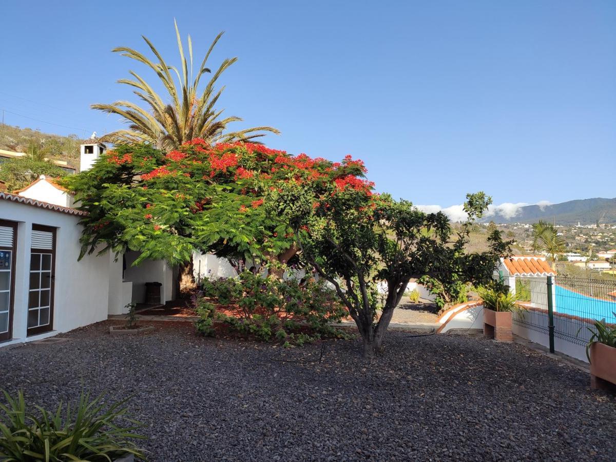 Appartement Casitas Rosheli
